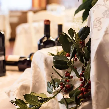 Hotel Ariston Garden & 3*